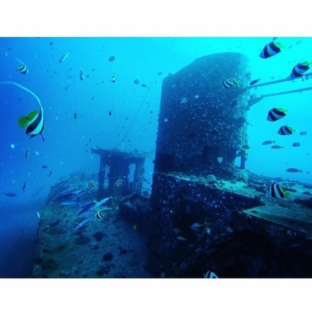 2 Tank Shipwreck and Reef Dives - Waikiki