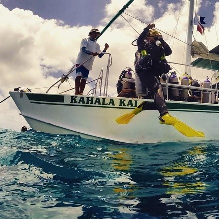 2 Tank Shallow Reef Boat Dives - Waikiki