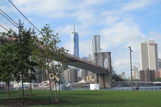 The Best of Brooklyn Half-Day Food & Culture Tour
