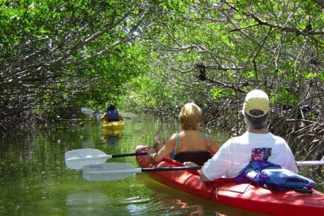 2 Hour Kayak Eco Tour - All Levels! Everyone's Favorite Tour