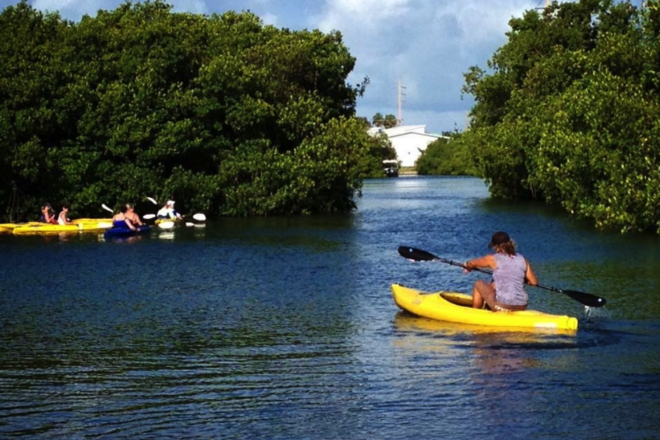3 1/2 Hour Kayak & Backcountry Snorkel Tour