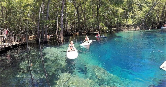 SUP Half Day Rental - All Ages • 4 Hours