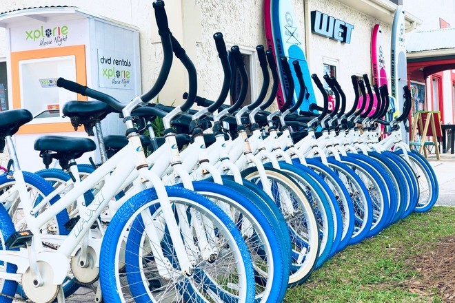 One Day Bike Rental - 9 Hours