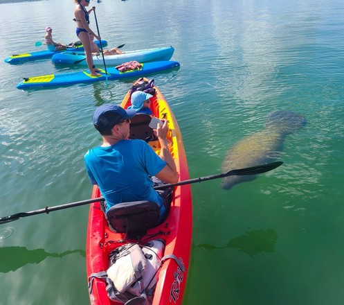 Kayak Tour at Ted Sperling Park - Lido Mangrove Tunnels