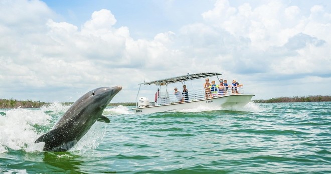Dolphin Tours - 2 hours • We Guarantee You Will See Dolphins