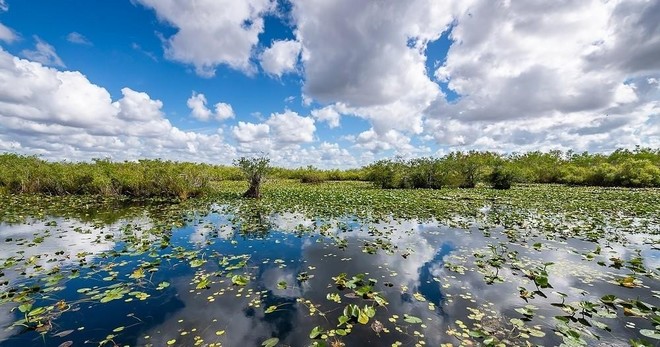 Depart from MIA to the Everglades Airboat tour - 4hrs