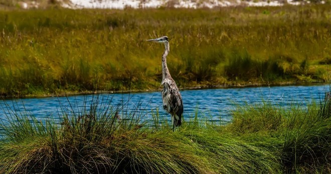 Private Everglades National Park Guided Kayak Eco Tour