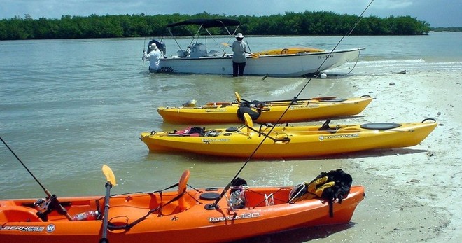 Private Fishing Trip - 4 Hours • Up to 4 Anglers
