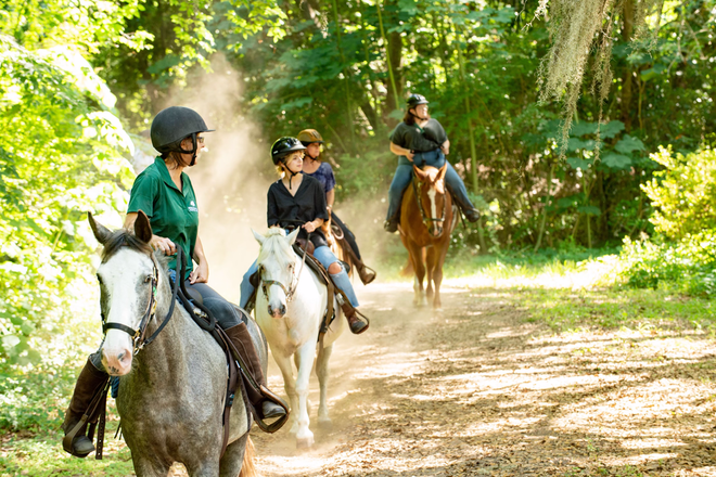 Historic Trail Ride - Ages 8+ • No Experience Necessary