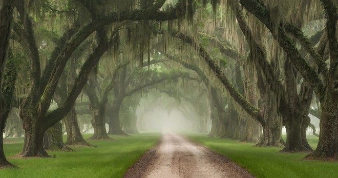 Lowcountry Southern Charm Tour - Immerse Yourself!