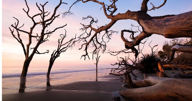 Lowcountry Surf & Turf Experience - Full Day Adventure!