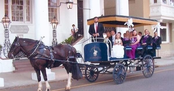 Large Group Private Tour - Up to 16 People • All Ages