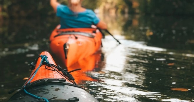 Eco Kayak Tours - 2hrs