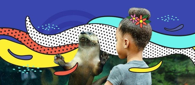General Admission - (SAVE UP TO 15%)