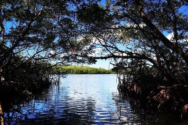 Weedon Island - Half Day Rentals