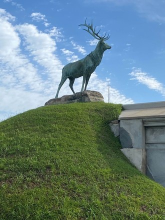 Tour Greenwood Cemetery - 1.5hrs