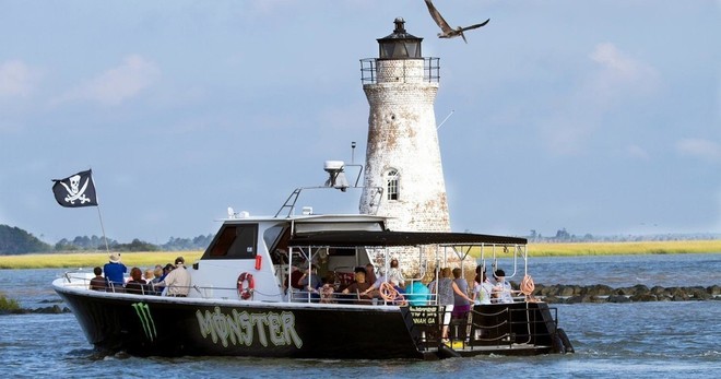 Tybee Island Dolphin Tour - 5.5hrs