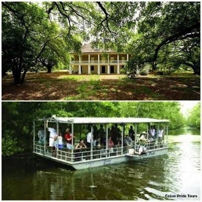 Pontoon Boat Swamp Tour & Whitney Museum Plantation - 8.5hrs