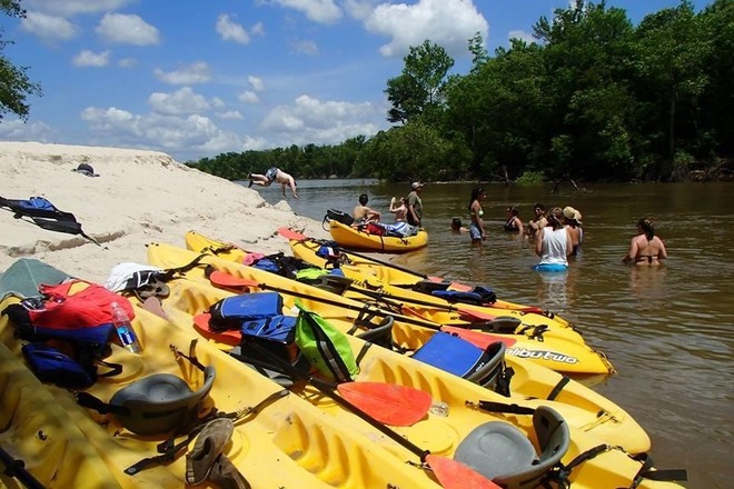 Honey Island Kayak Swamp Tour 2hrs