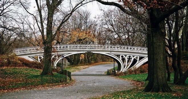 Metropolitan Museum of Art+Central Park Tour - Private 5.5hr