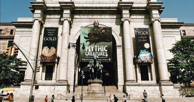 American Museum of Natural History Guided Tour Semi Private