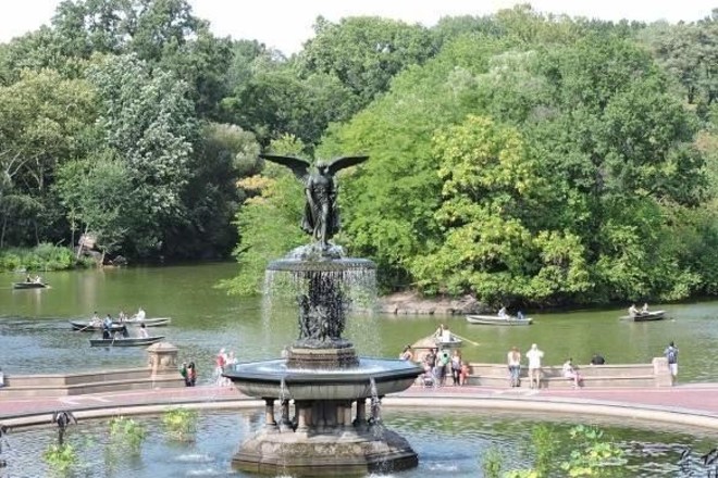 1 Hr Central Park Pedicab Rickshaw Tour