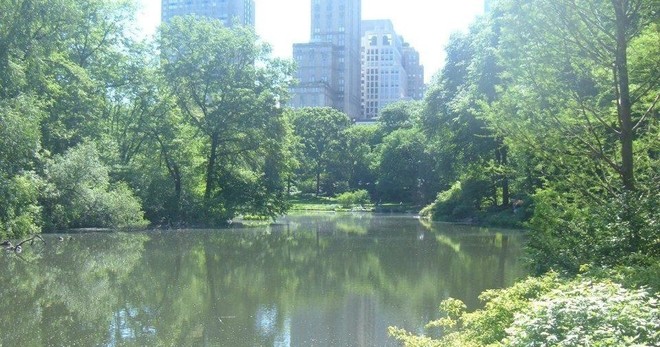 Hells Kitchen Food Tour + Central Park Tour - 4hrs
