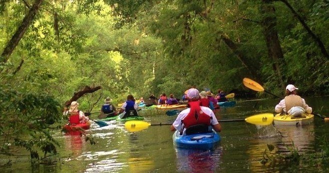 Old Florida Backwater Kayak Adventure - 2hrs