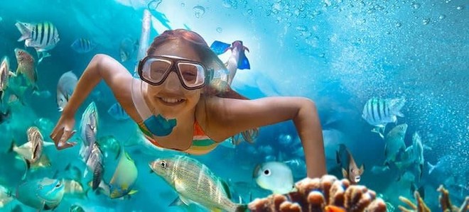 Snorkel St John Tour from Sapphire & Margaritaville- 6hrs