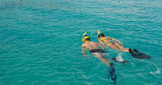 Snorkel Trip