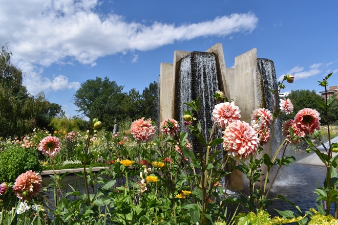 Denver City Private Driving Tour