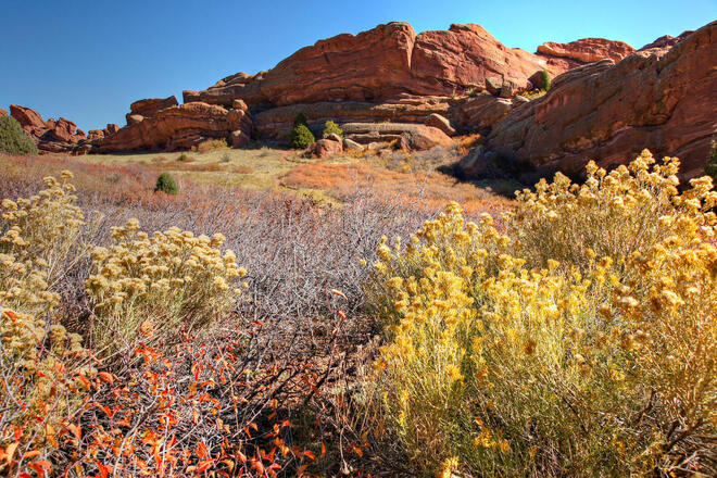 Private Red Rocks and Golden Tour