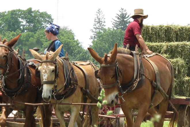 Lancaster and Amish Tour