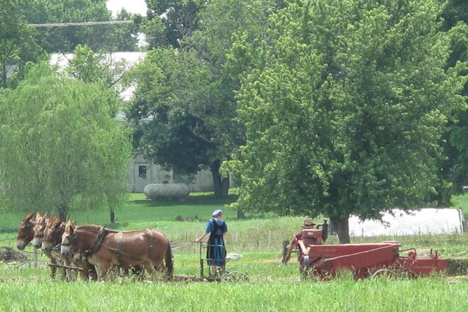 Lancaster and Amish Tour