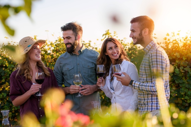 Napa and Sonoma Valley Wine Country Discovery Tour 1 day fro