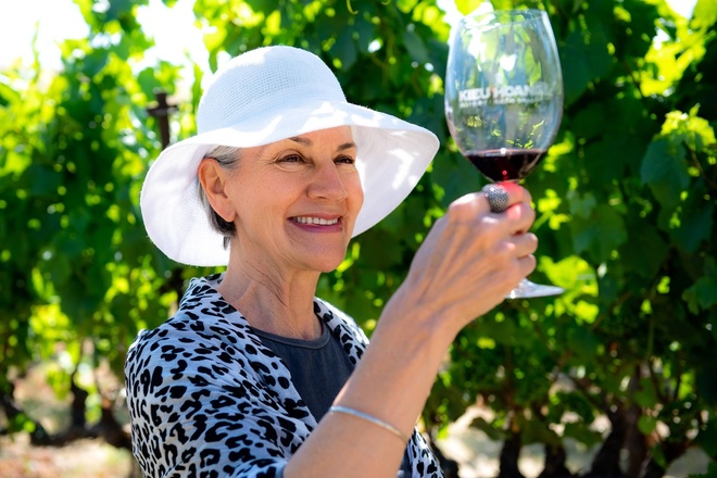 Napa and Sonoma Valley Wine Country Discovery Tour 1 day fro