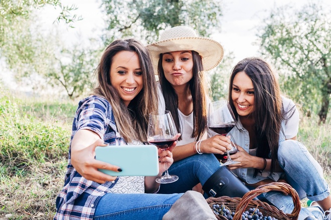 Napa and Sonoma Valley Wine Country Discovery Tour 1 day fro