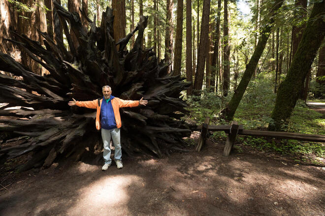 Redwoods & Wine Country Tour