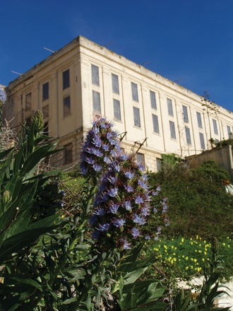 Alcatraz & Streets of San Francisco Tour
