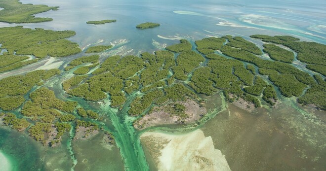 Key West Eco Tour