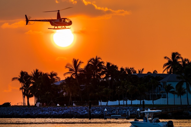 Sunset Celebration