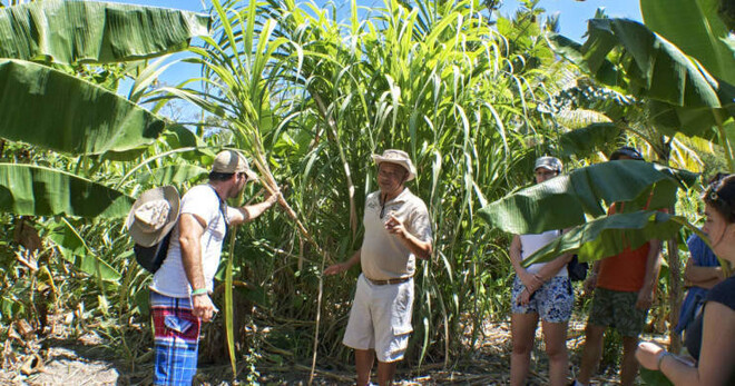 Culture Tour - Puerto Plata