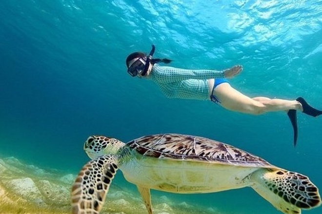 Snorkel Tour