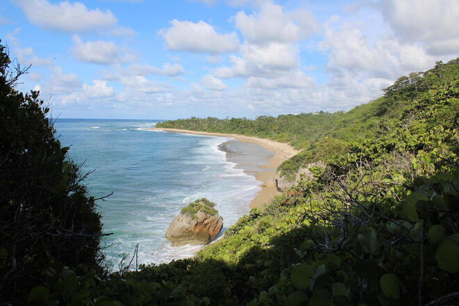 Let's Go West Puerto Rico