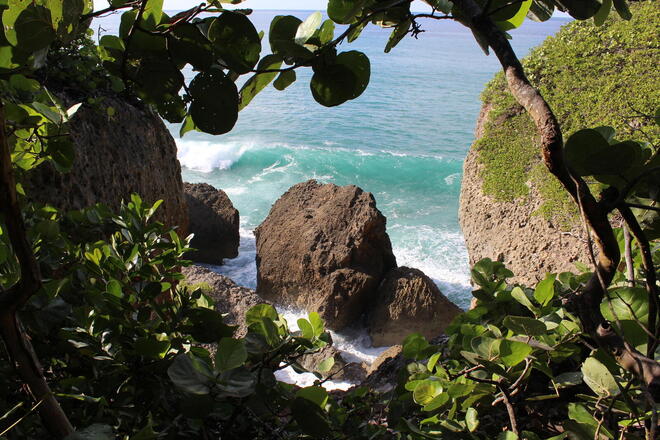 Let's Go West Puerto Rico