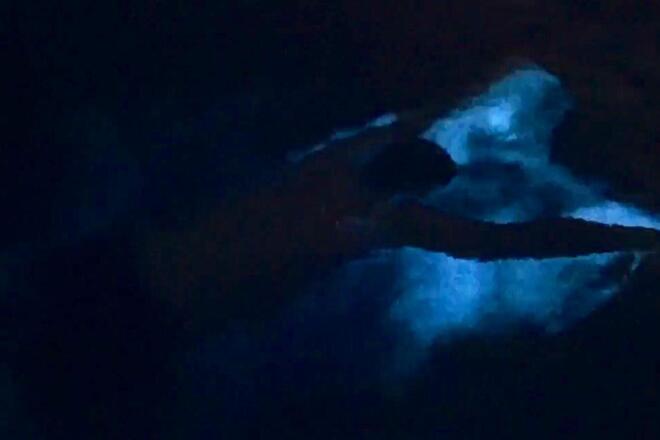Bioluminecent Bay and Hot Spring Tour