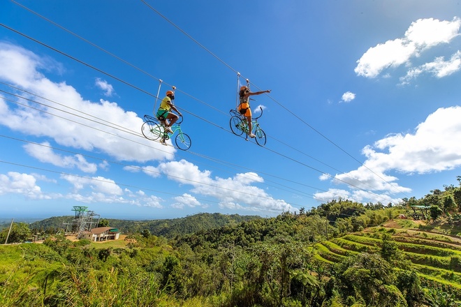 Zipline + Toro Bike Transportation Combo (2)