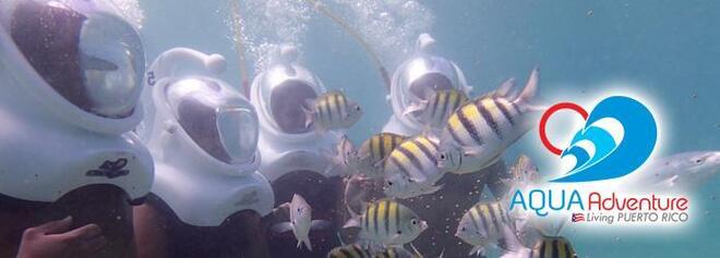 Sea Trek