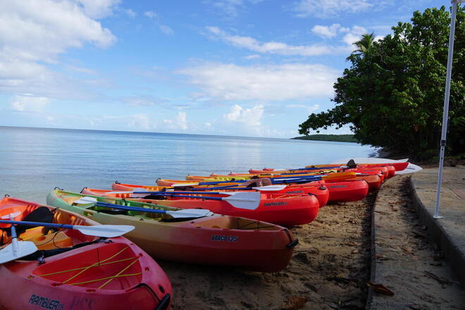 Snorkeling & Kayak Eco-Experience