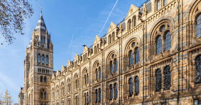 Natural History Museum of London Guided Tour - Semi-Private 